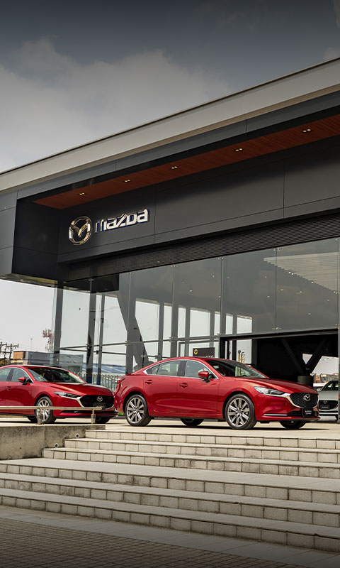 Expertos en vehículos Mazda