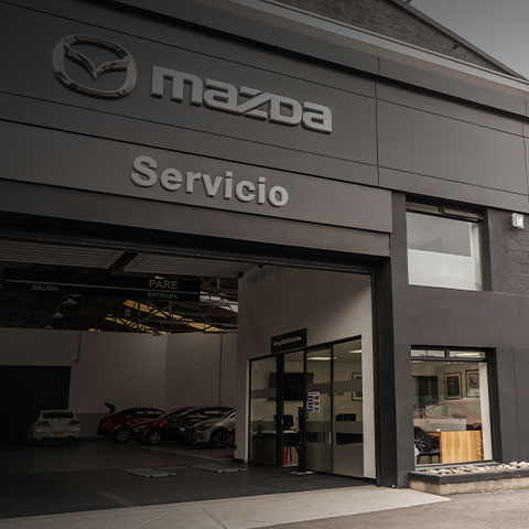 Expertos en vehículos Mazda